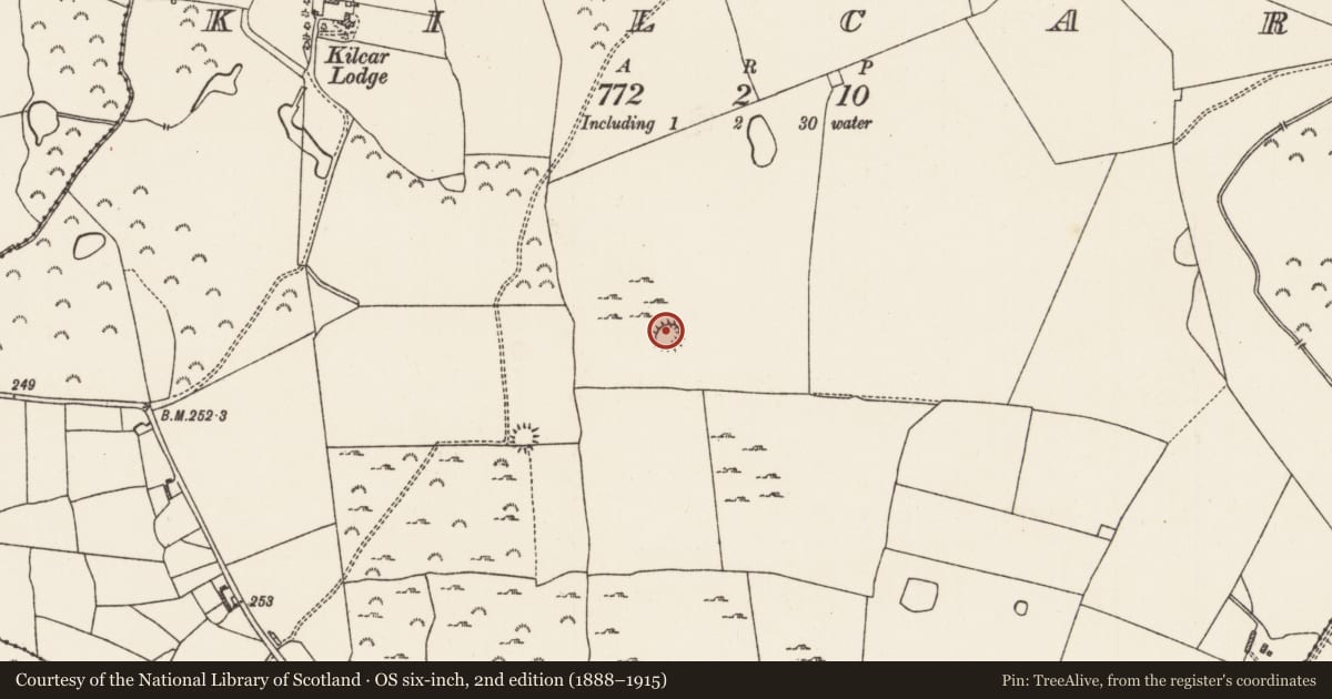 Ordnance Survey six-inch map, 2nd edition (1888–1915) covering the location of Ringfort - rath, Kilcar, County Roscommon, with a pin at the register's coordinates