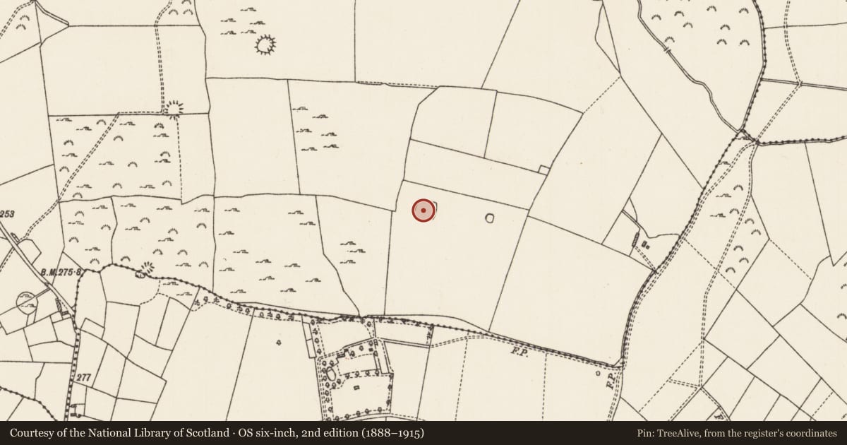 Ordnance Survey six-inch map, 2nd edition (1888–1915) covering the location of Enclosure, Kilcar, County Roscommon, with a pin at the register's coordinates