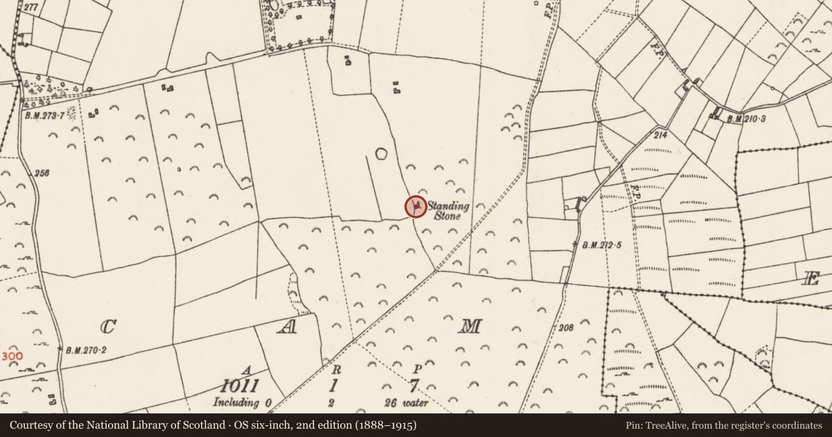 Ordnance Survey six-inch map, 2nd edition (1888–1915) covering the location of Standing stone, Cam, County Roscommon, with a pin at the register's coordinates