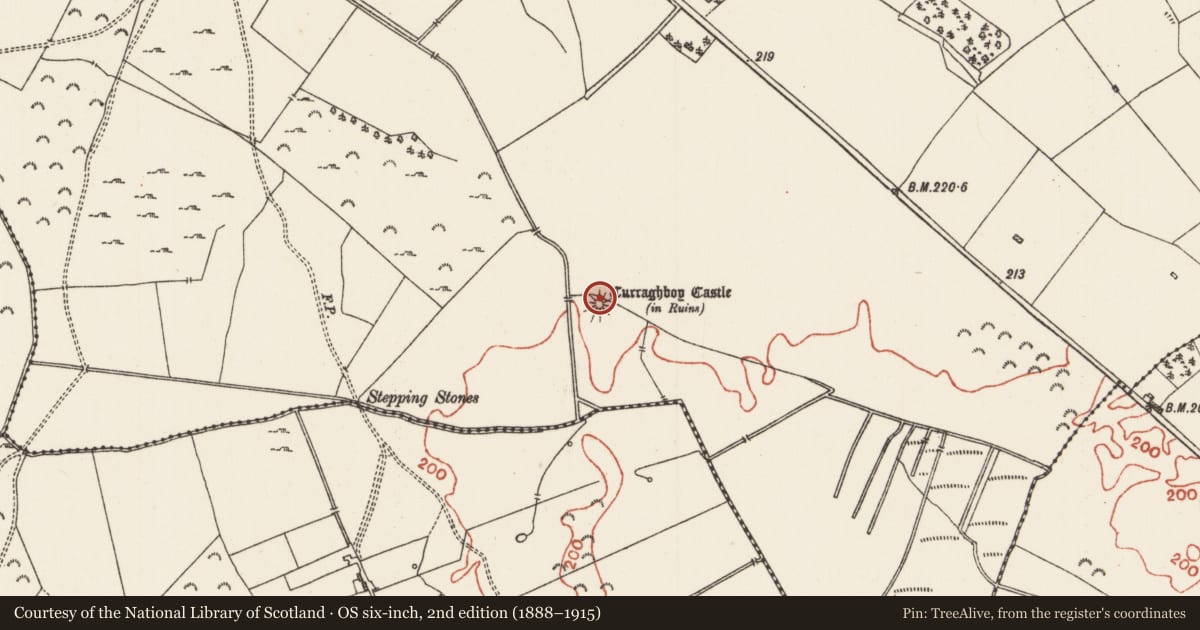 Ordnance Survey six-inch map, 2nd edition (1888–1915) covering the location of Castle - unclassified, Curraghboy, County Roscommon, with a pin at the register's coordinates