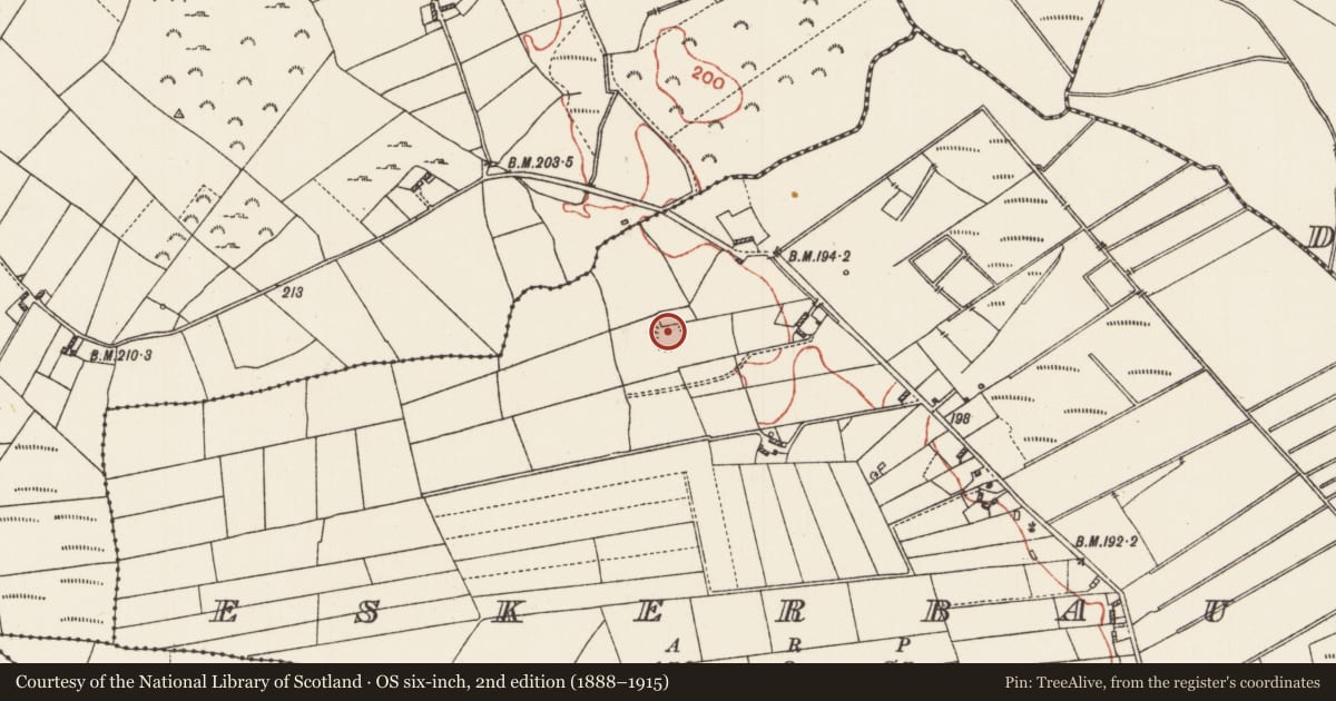 Ordnance Survey six-inch map, 2nd edition (1888–1915) covering the location of Ringfort - cashel, Eskerbaun, County Roscommon, with a pin at the register's coordinates