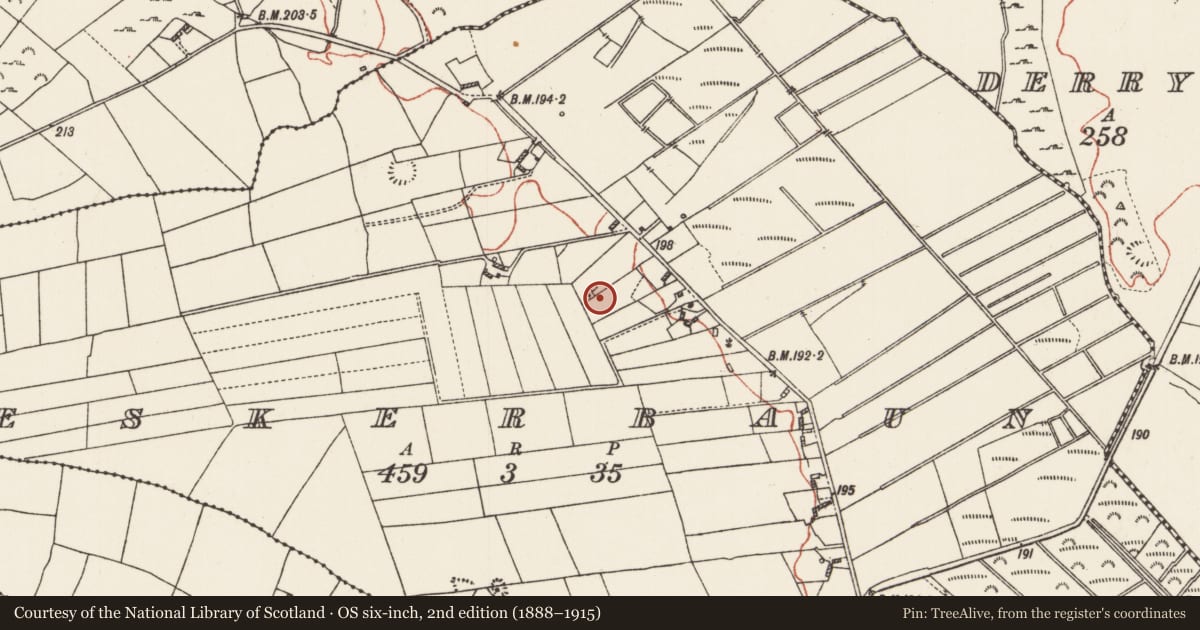 Ordnance Survey six-inch map, 2nd edition (1888–1915) covering the location of Sweathouse, Eskerbaun, County Roscommon, with a pin at the register's coordinates
