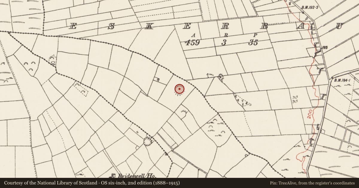 Ordnance Survey six-inch map, 2nd edition (1888–1915) covering the location of Children's burial ground, Brideswell, County Roscommon, with a pin at the register's coordinates