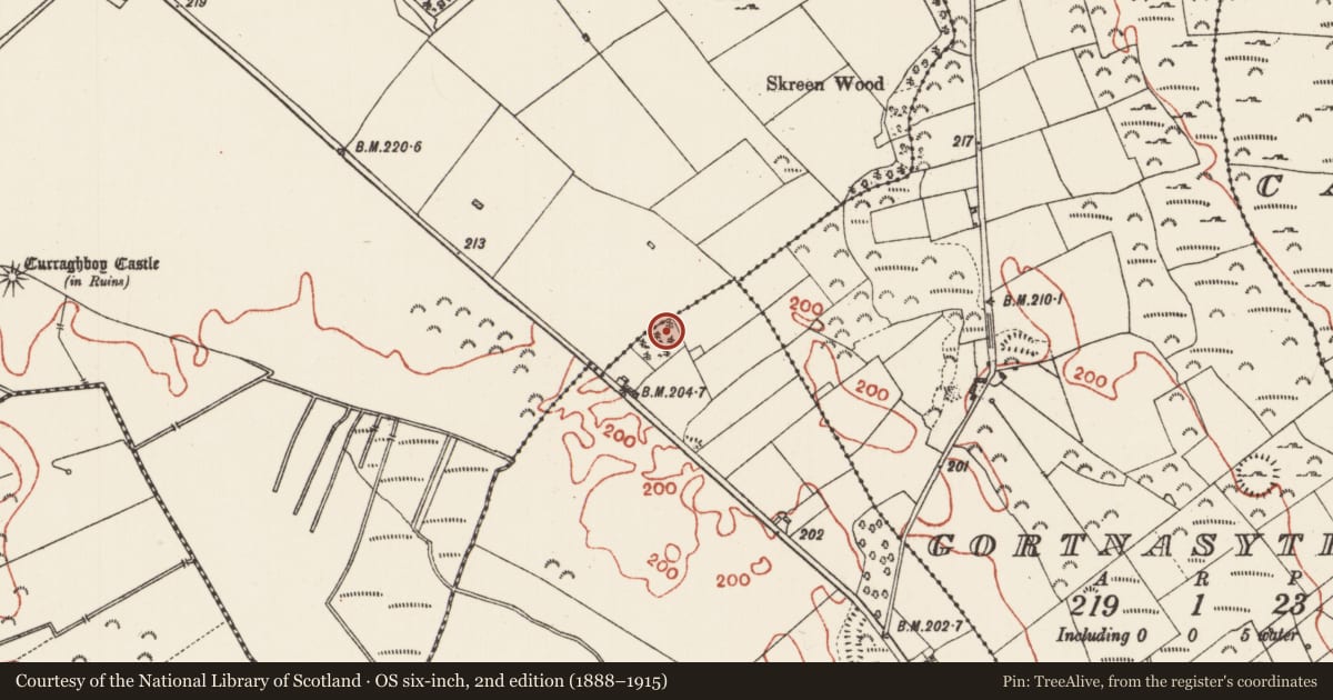 Ordnance Survey six-inch map, 2nd edition (1888–1915) covering the location of Barrow - ring-barrow, Derryglad, County Roscommon, with a pin at the register's coordinates