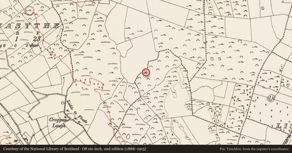 Ordnance Survey six-inch map, 2nd edition (1888–1915) covering the location of Ringfort - rath, Atteagh, Carrowkeeny, County Roscommon, with a pin at the register's coordinates