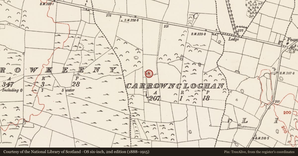 Ordnance Survey six-inch map, 2nd edition (1888–1915) covering the location of Ringfort - rath, Carrowncloghan, County Roscommon, with a pin at the register's coordinates