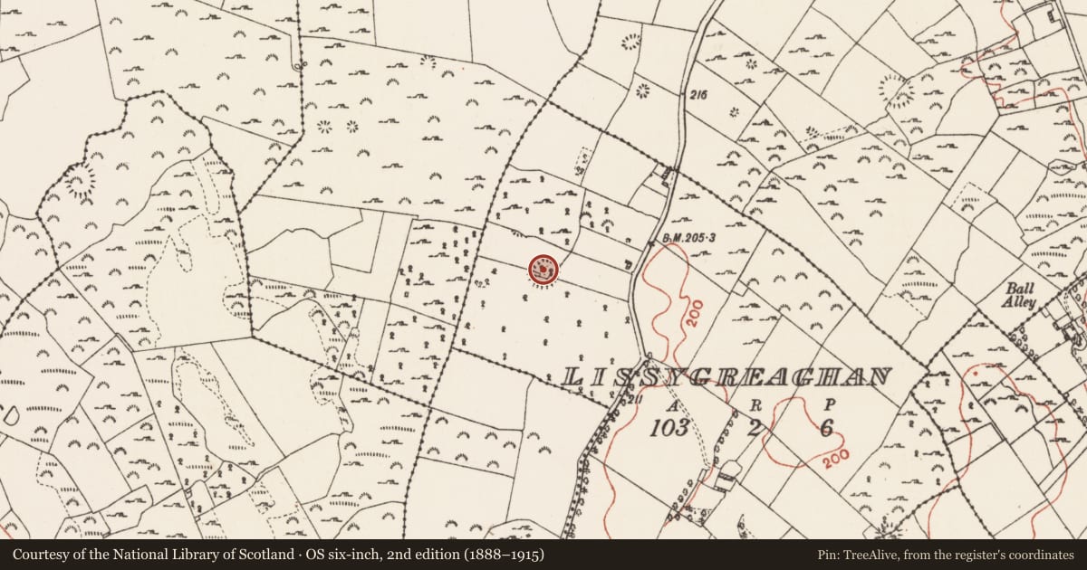 Ordnance Survey six-inch map, 2nd edition (1888–1915) covering the location of Ringfort - rath, Lissygreaghan, County Roscommon, with a pin at the register's coordinates