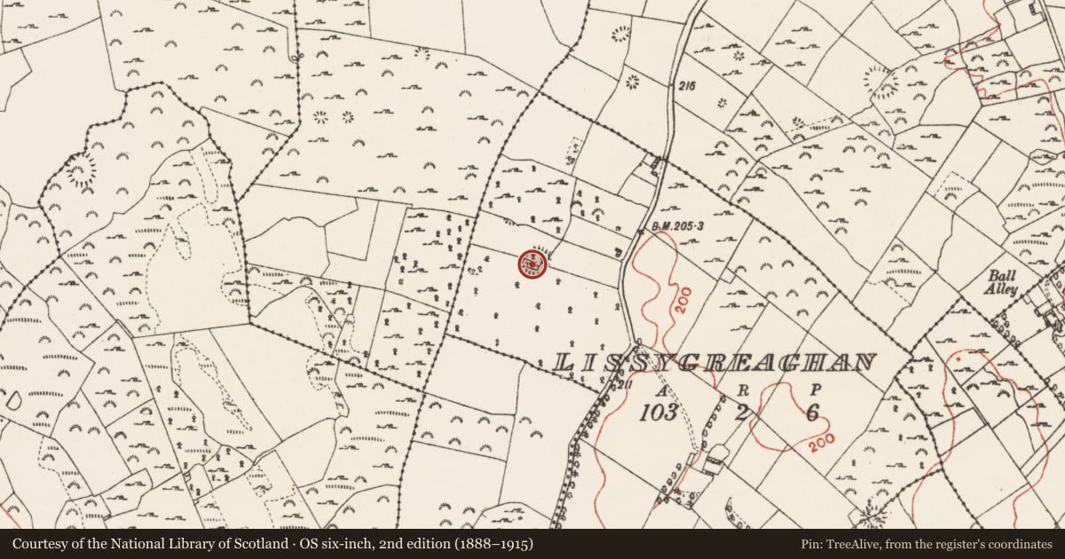 Ordnance Survey six-inch map, 2nd edition (1888–1915) covering the location of Church, Lissygreaghan, County Roscommon, with a pin at the register's coordinates