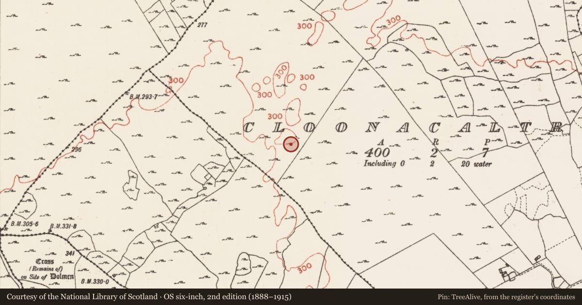 Ordnance Survey six-inch map, 2nd edition (1888–1915) covering the location of Field system, Cloonacaltry, County Roscommon, with a pin at the register's coordinates