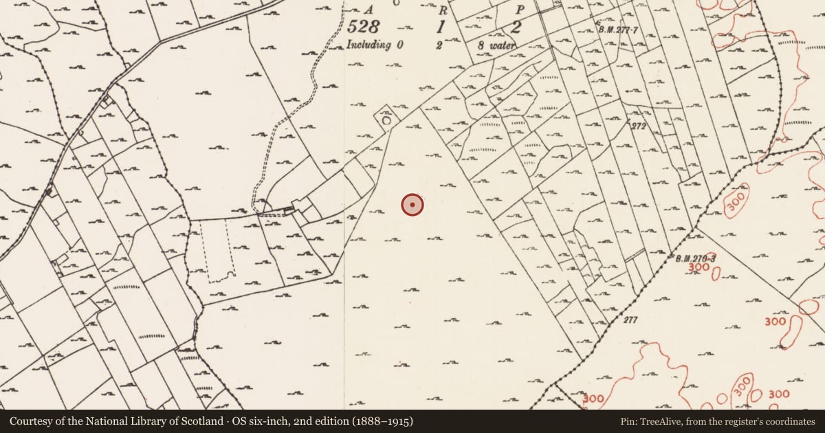 Ordnance Survey six-inch map, 2nd edition (1888–1915) covering the location of Field system, Cuilleenoolagh, County Roscommon, with a pin at the register's coordinates