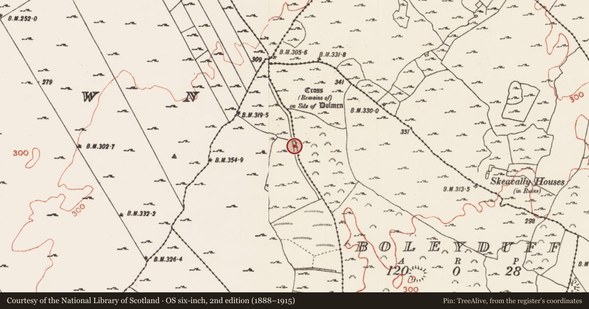 Ordnance Survey six-inch map, 2nd edition (1888–1915) covering the location of Road - road/trackway, County Roscommon, with a pin at the register's coordinates