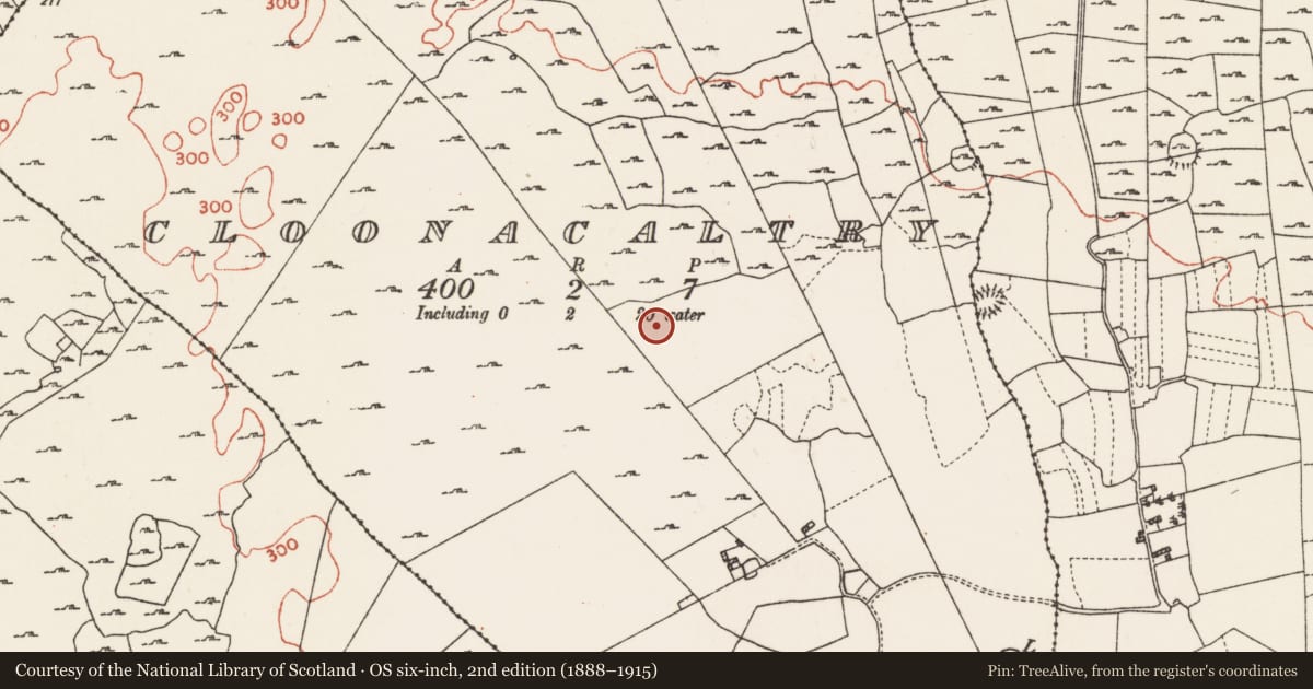 Ordnance Survey six-inch map, 2nd edition (1888–1915) covering the location of Ringfort - cashel, Cloonacaltry, County Roscommon, with a pin at the register's coordinates
