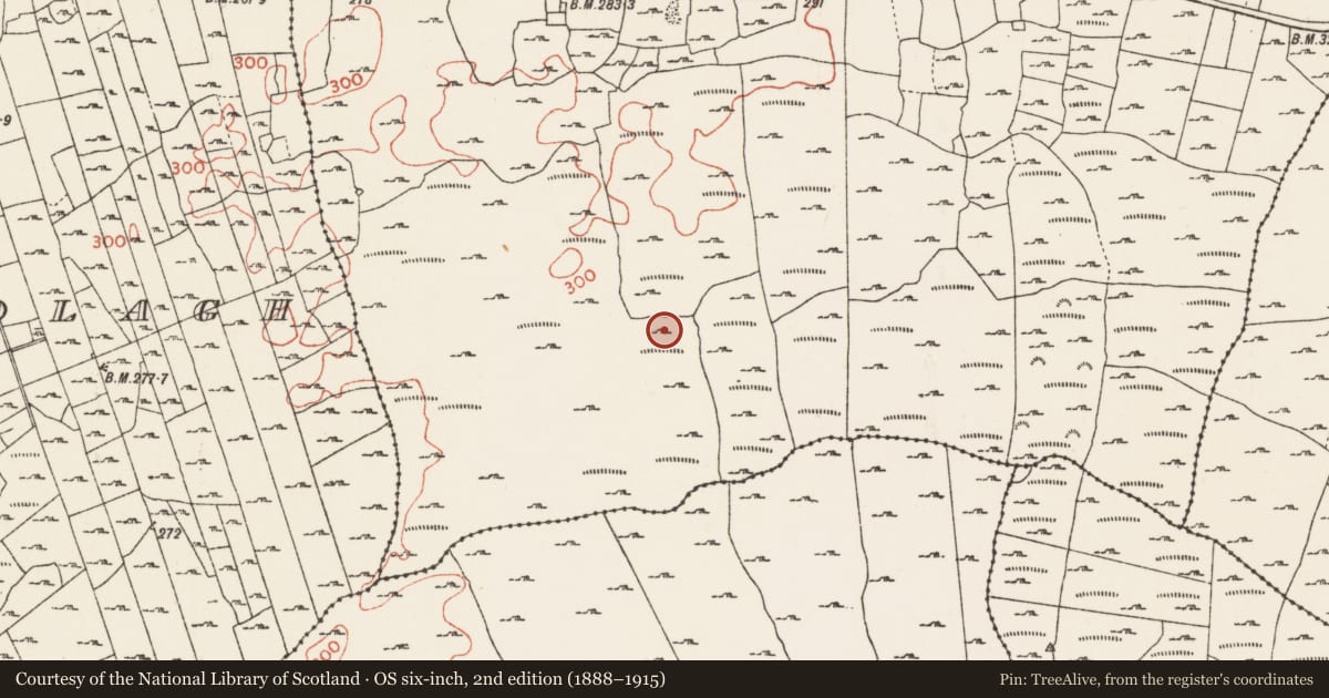 Ordnance Survey six-inch map, 2nd edition (1888–1915) covering the location of Field system, Cloonacaltry, Curry, County Roscommon, with a pin at the register's coordinates