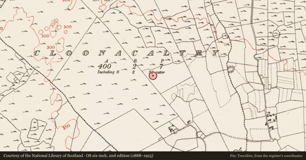 Ordnance Survey six-inch map, 2nd edition (1888–1915) covering the location of Children's burial ground, Cloonacaltry, County Roscommon, with a pin at the register's coordinates