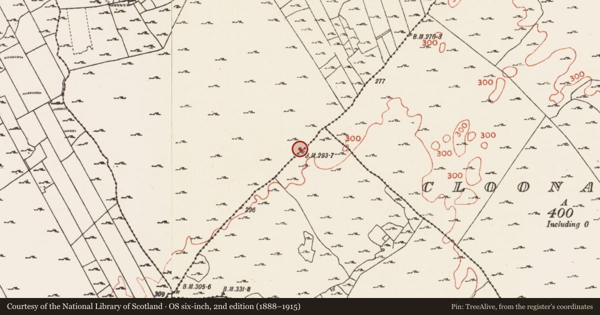 Ordnance Survey six-inch map, 2nd edition (1888–1915) covering the location of Linear earthwork, County Roscommon, with a pin at the register's coordinates
