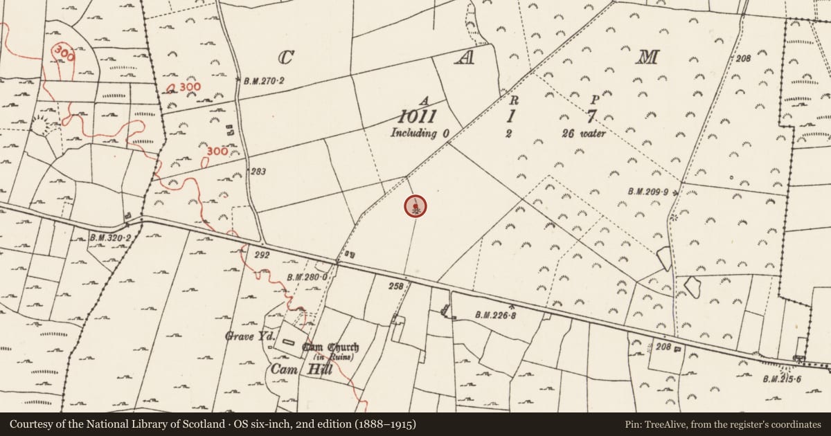 Ordnance Survey six-inch map, 2nd edition (1888–1915) covering the location of Well, Cam, County Roscommon, with a pin at the register's coordinates
