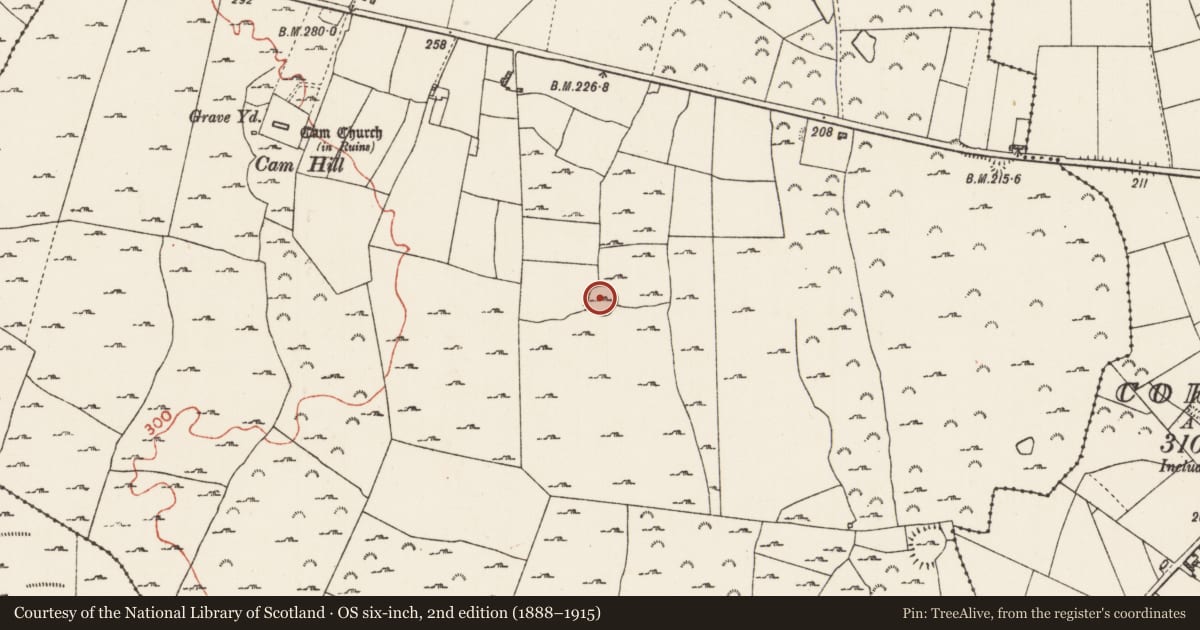 Ordnance Survey six-inch map, 2nd edition (1888–1915) covering the location of Ringfort - cashel, Cam, County Roscommon, with a pin at the register's coordinates