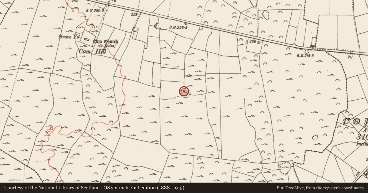 Ordnance Survey six-inch map, 2nd edition (1888–1915) covering the location of House - indeterminate date, Cam, County Roscommon, with a pin at the register's coordinates