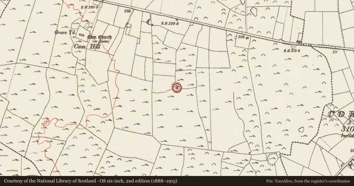 Ordnance Survey six-inch map, 2nd edition (1888–1915) covering the location of House - indeterminate date, Cam, County Roscommon, with a pin at the register's coordinates