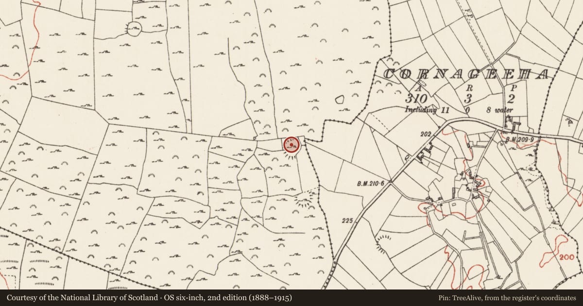 Ordnance Survey six-inch map, 2nd edition (1888–1915) covering the location of Ringfort - unclassified, Cam, County Roscommon, with a pin at the register's coordinates