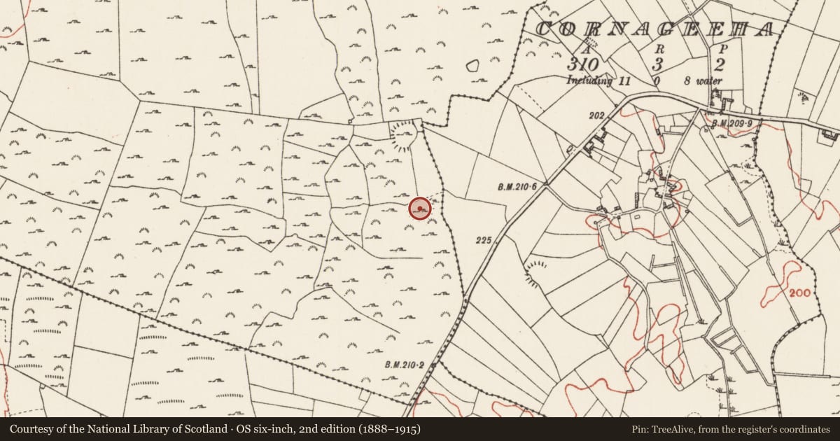 Ordnance Survey six-inch map, 2nd edition (1888–1915) covering the location of Ringfort - cashel, Cam, County Roscommon, with a pin at the register's coordinates