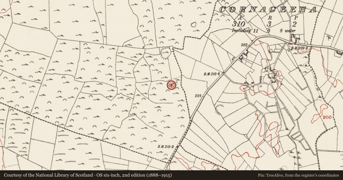 Ordnance Survey six-inch map, 2nd edition (1888–1915) covering the location of House - indeterminate date, Cam, County Roscommon, with a pin at the register's coordinates