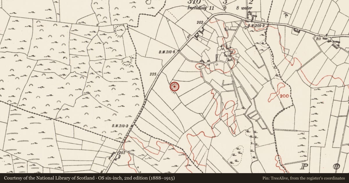 Ordnance Survey six-inch map, 2nd edition (1888–1915) covering the location of Ringfort - rath, Cornageeha, County Roscommon, with a pin at the register's coordinates