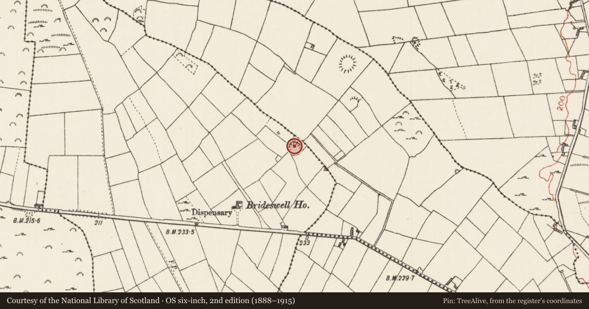 Ordnance Survey six-inch map, 2nd edition (1888–1915) covering the location of Ringfort - cashel, Cornageeha, County Roscommon, with a pin at the register's coordinates
