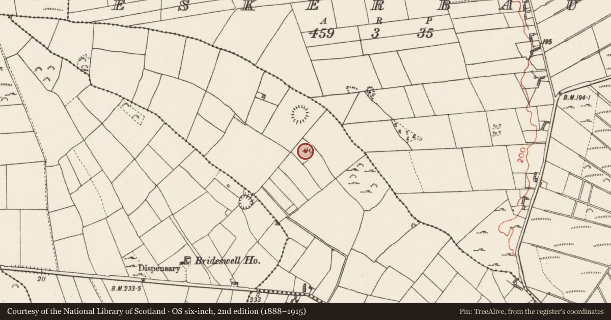 Ordnance Survey six-inch map, 2nd edition (1888–1915) covering the location of Ringfort - rath, Brideswell, County Roscommon, with a pin at the register's coordinates