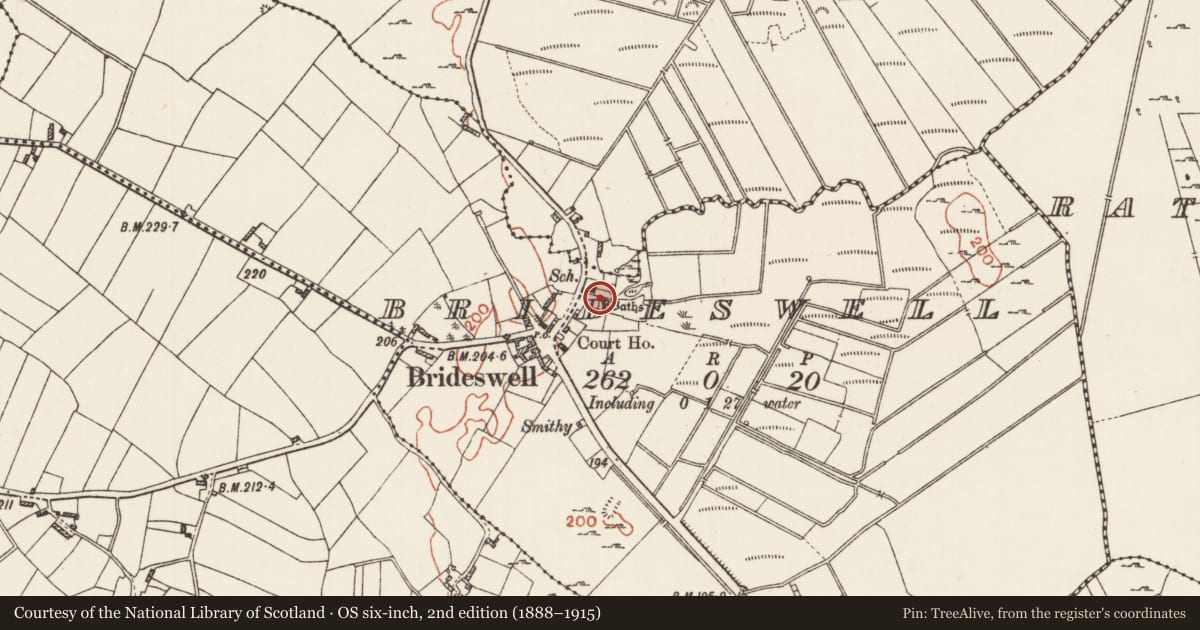 Ordnance Survey six-inch map, 2nd edition (1888–1915) covering the location of Ritual site - holy well, Brideswell, County Roscommon, with a pin at the register's coordinates