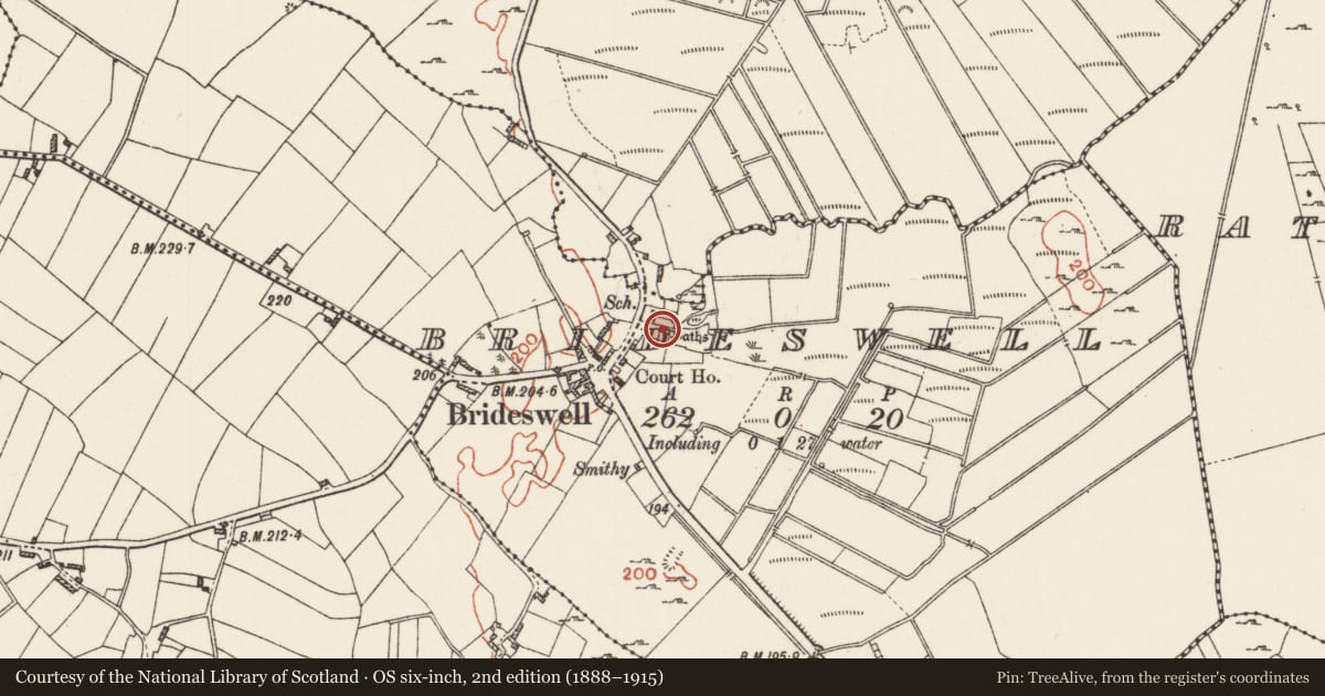 Ordnance Survey six-inch map, 2nd edition (1888–1915) covering the location of Armorial plaque, Brideswell, County Roscommon, with a pin at the register's coordinates
