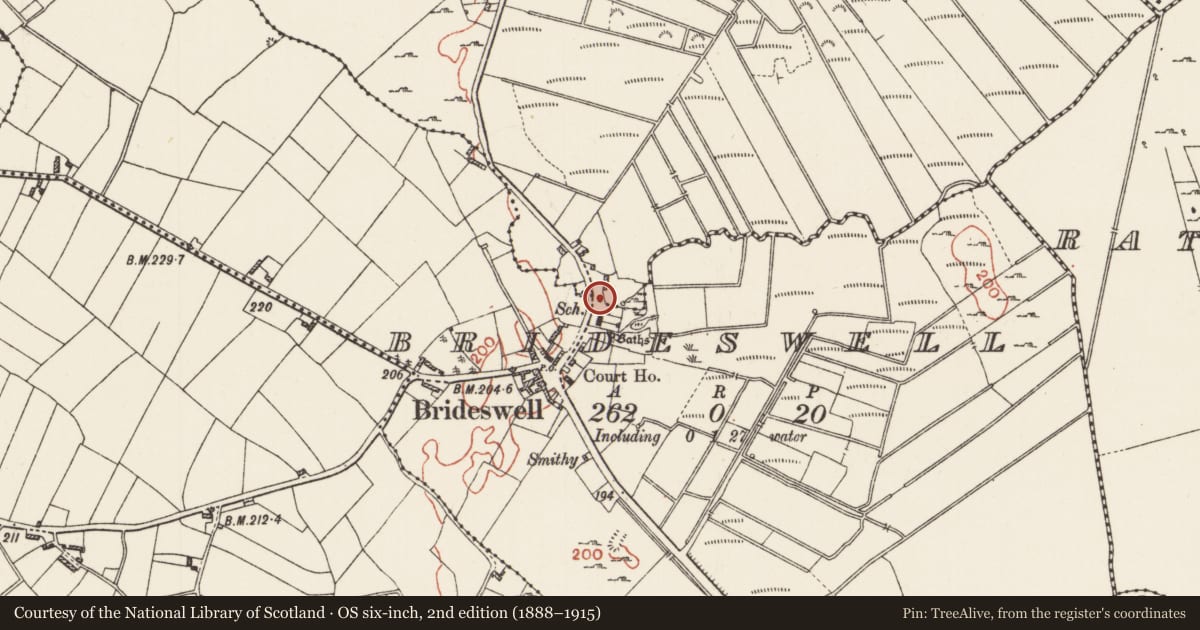 Ordnance Survey six-inch map, 2nd edition (1888–1915) covering the location of Penitential station, Brideswell, County Roscommon, with a pin at the register's coordinates