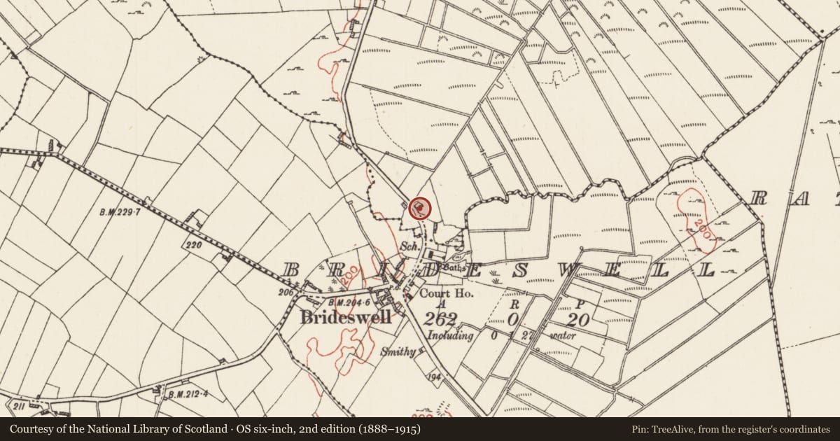 Ordnance Survey six-inch map, 2nd edition (1888–1915) covering the location of Penitential station, Eskerbaun, County Roscommon, with a pin at the register's coordinates