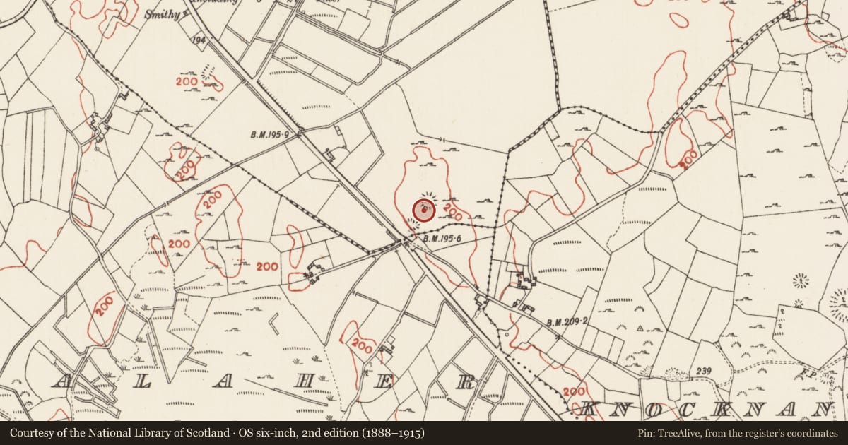 Ordnance Survey six-inch map, 2nd edition (1888–1915) covering the location of Standing stone, Brideswell, County Roscommon, with a pin at the register's coordinates