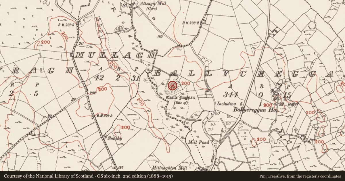 Ordnance Survey six-inch map, 2nd edition (1888–1915) covering the location of Castle - motte and bailey, Ballycreggan, County Roscommon, with a pin at the register's coordinates