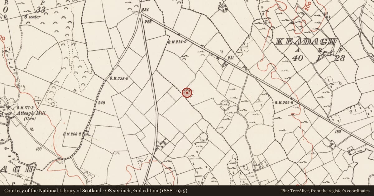 Ordnance Survey six-inch map, 2nd edition (1888–1915) covering the location of Ringfort - rath, Gortacoosan, County Roscommon, with a pin at the register's coordinates