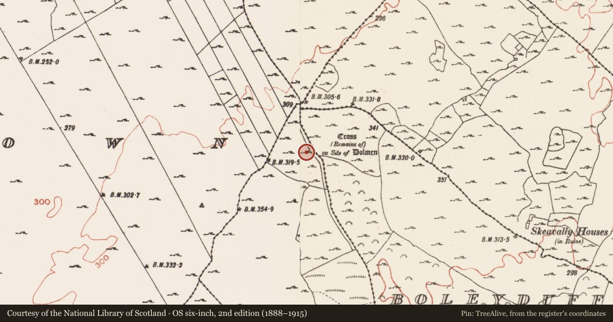 Ordnance Survey six-inch map, 2nd edition (1888–1915) covering the location of Cross - Wayside cross, Skeavally, County Roscommon, with a pin at the register's coordinates