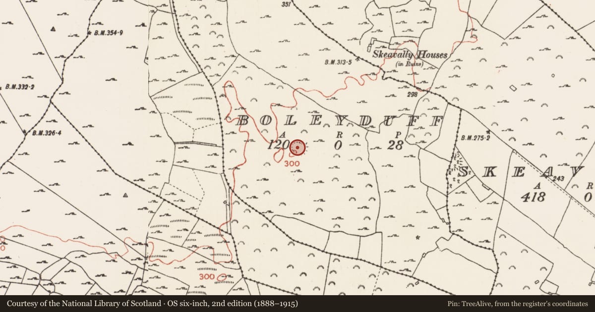 Ordnance Survey six-inch map, 2nd edition (1888–1915) covering the location of Ringfort - cashel, Boleyduff, County Roscommon, with a pin at the register's coordinates