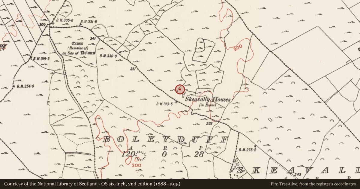 Ordnance Survey six-inch map, 2nd edition (1888–1915) covering the location of Enclosure, Skeavally, County Roscommon, with a pin at the register's coordinates
