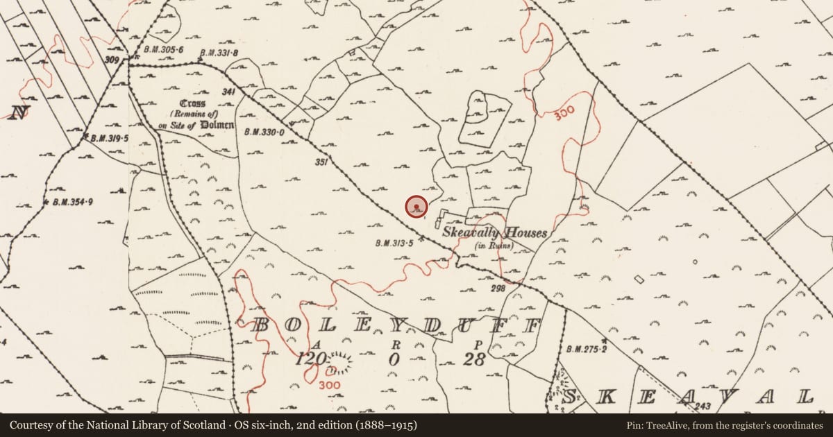 Ordnance Survey six-inch map, 2nd edition (1888–1915) covering the location of Sweathouse, Skeavally, County Roscommon, with a pin at the register's coordinates