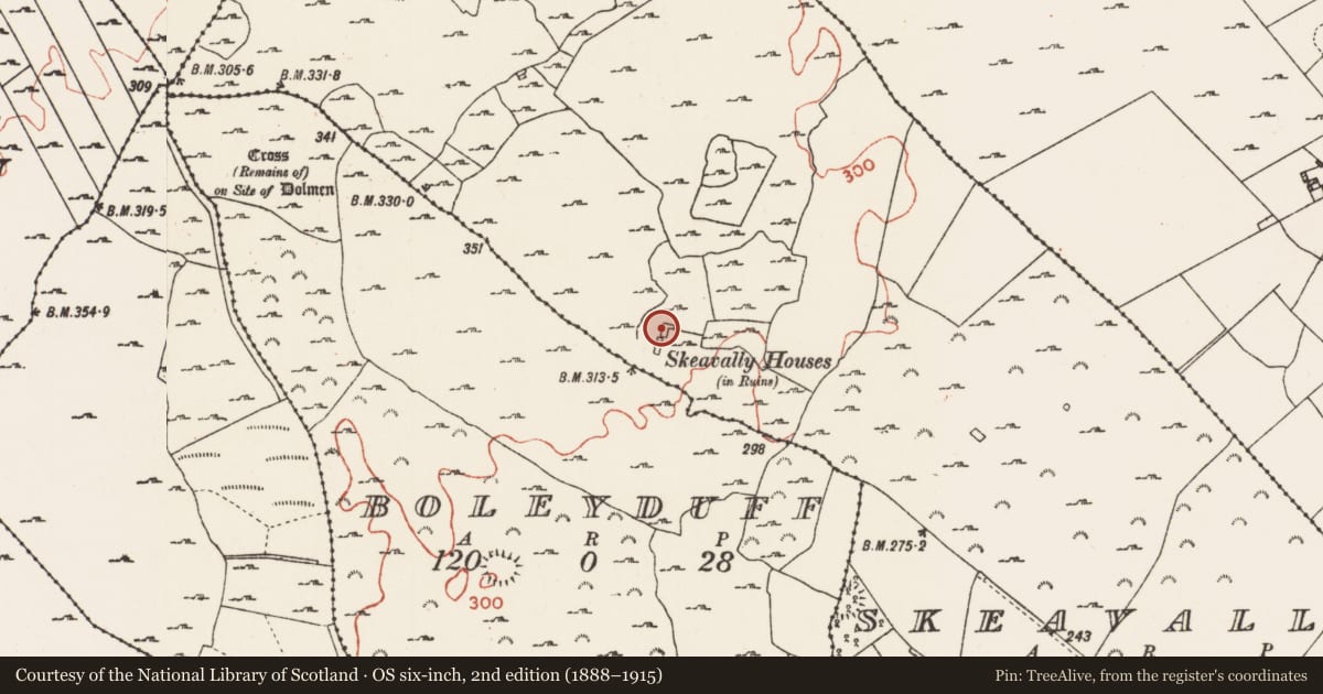 Ordnance Survey six-inch map, 2nd edition (1888–1915) covering the location of House - 17th century, Skeavally, County Roscommon, with a pin at the register's coordinates