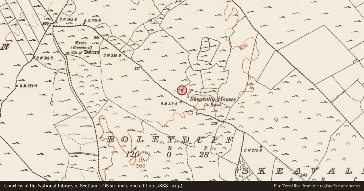 Ordnance Survey six-inch map, 2nd edition (1888–1915) covering the location of Building, Skeavally, County Roscommon, with a pin at the register's coordinates