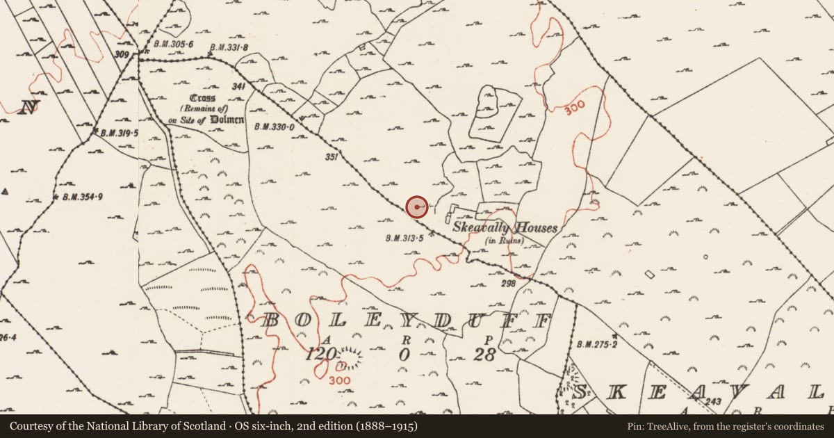 Ordnance Survey six-inch map, 2nd edition (1888–1915) covering the location of Earthwork, Skeavally, County Roscommon, with a pin at the register's coordinates