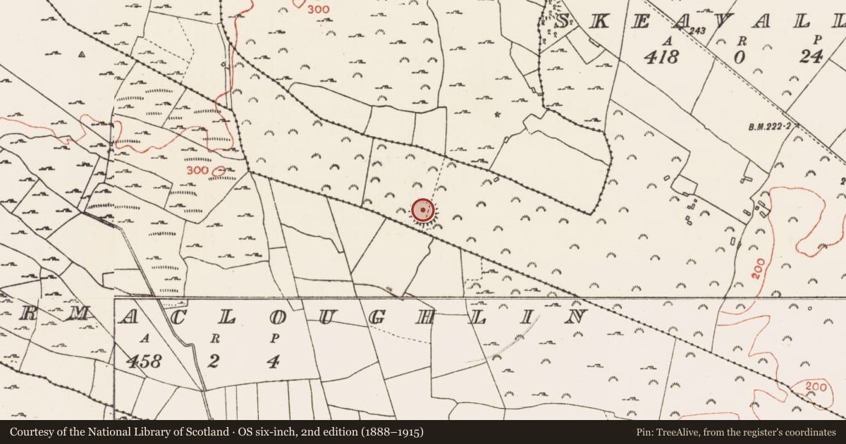 Ordnance Survey six-inch map, 2nd edition (1888–1915) covering the location of Ringfort - cashel, Skeavally, County Roscommon, with a pin at the register's coordinates