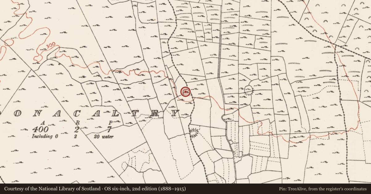 Ordnance Survey six-inch map, 2nd edition (1888–1915) covering the location of Ringfort - cashel, Cloonacaltry, Feacle, County Roscommon, with a pin at the register's coordinates