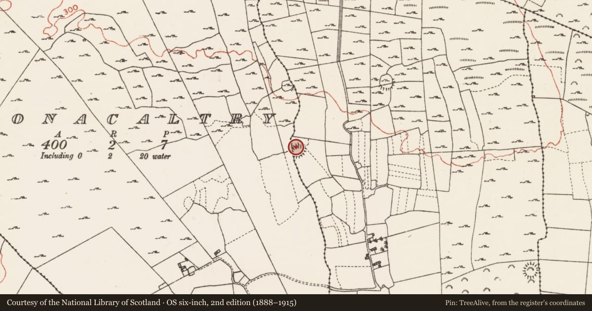 Ordnance Survey six-inch map, 2nd edition (1888–1915) covering the location of Ringfort - rath, Cloonacaltry, Feacle, County Roscommon, with a pin at the register's coordinates