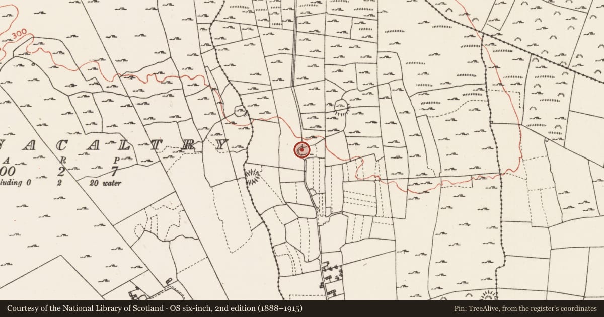Ordnance Survey six-inch map, 2nd edition (1888–1915) covering the location of Ringfort - cashel, Feacle, County Roscommon, with a pin at the register's coordinates