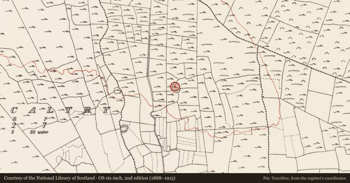 Ordnance Survey six-inch map, 2nd edition (1888–1915) covering the location of Ringfort - rath, Feacle, County Roscommon, with a pin at the register's coordinates