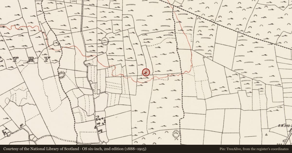 Ordnance Survey six-inch map, 2nd edition (1888–1915) covering the location of Ringfort - cashel, Feacle, County Roscommon, with a pin at the register's coordinates