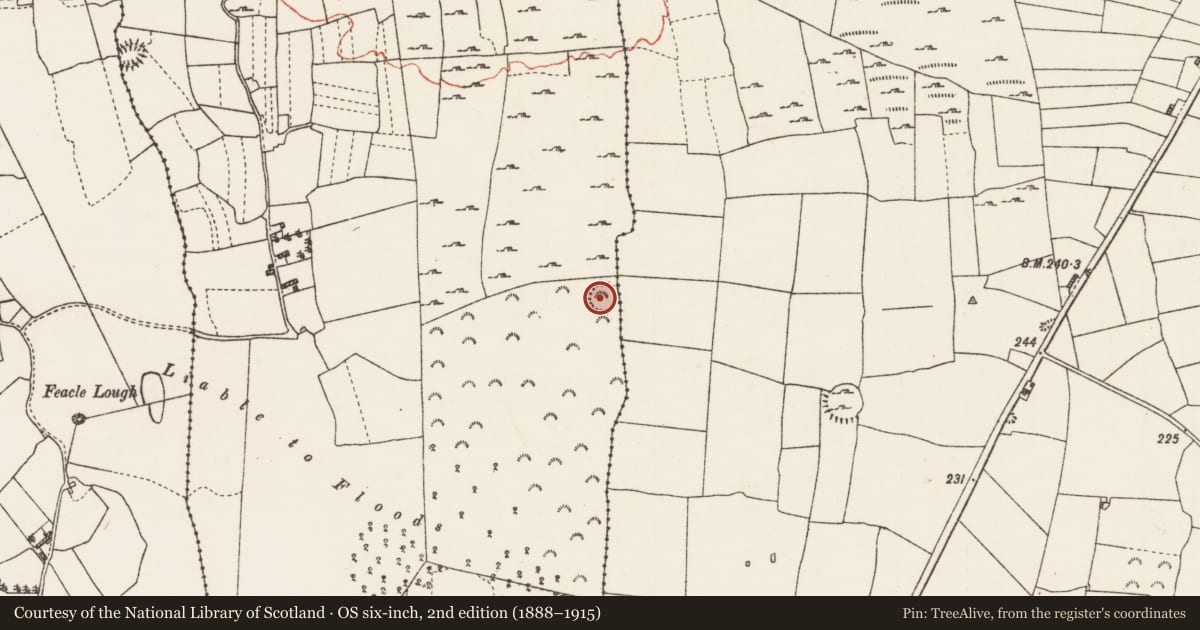 Ordnance Survey six-inch map, 2nd edition (1888–1915) covering the location of Ringfort - cashel, Feacle, County Roscommon, with a pin at the register's coordinates